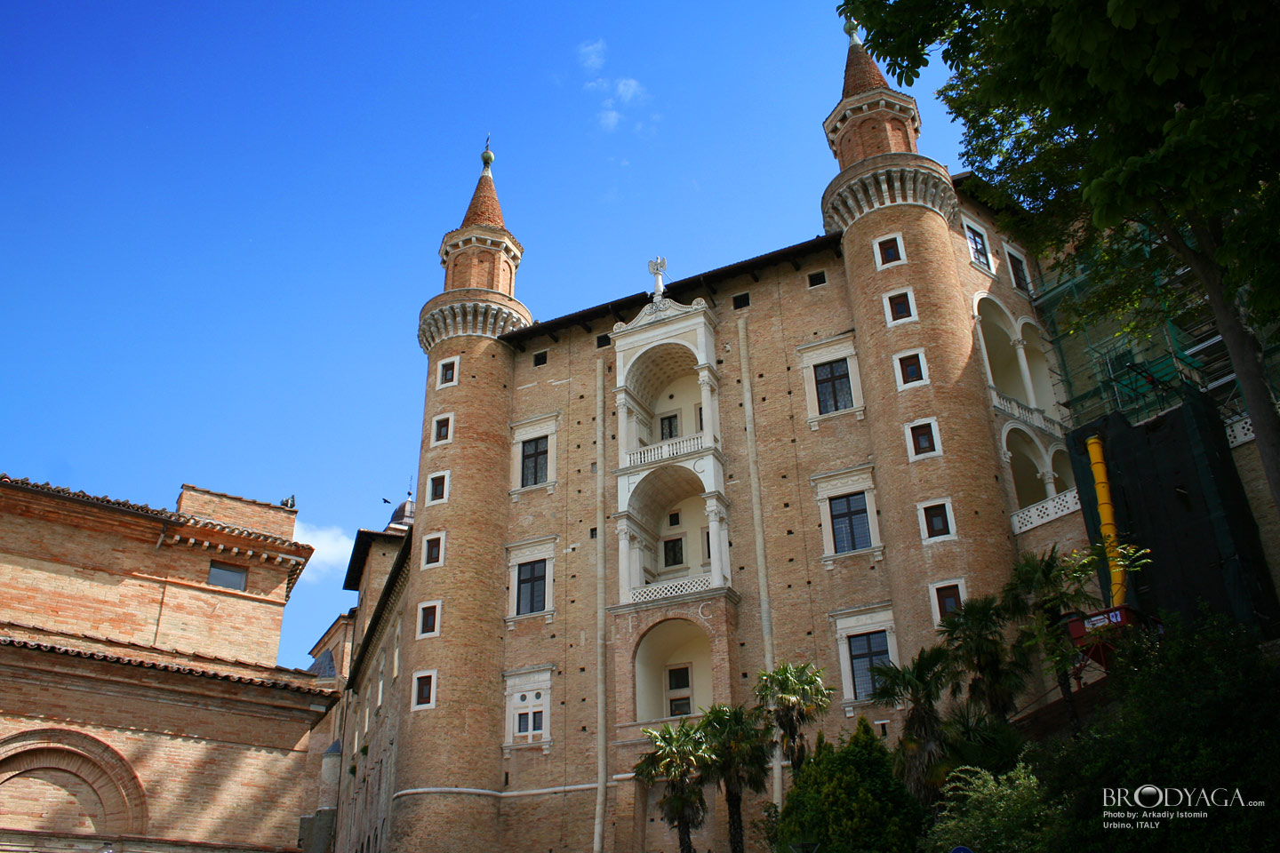 Urbino